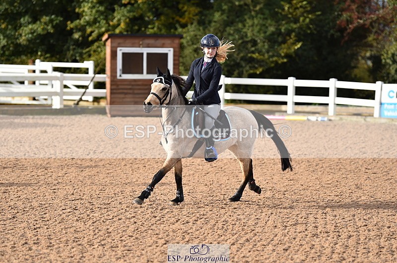 231028A-103000-00439 - Cls 1 Pony 70cm