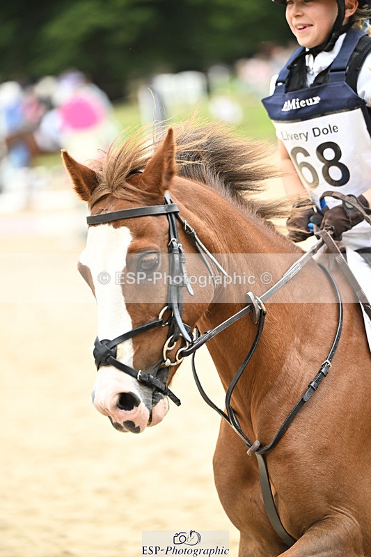 240822X-133855-09924 - 50cm R1 13.00 to 14.00