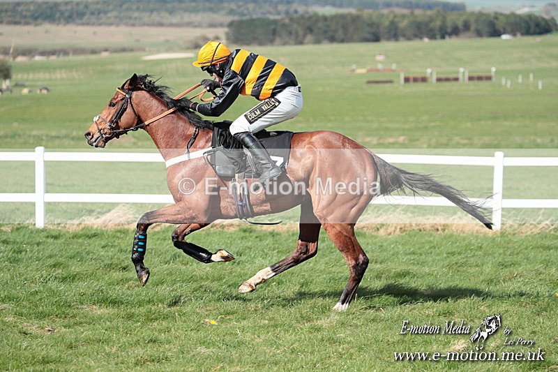 PtP 230324 576 - Tedworth Hunt PtP Larkhill Raccourse 23rd March 2024
