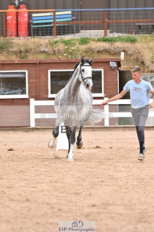250716-152902-01956 - Trot Up 2.30 to 3.30