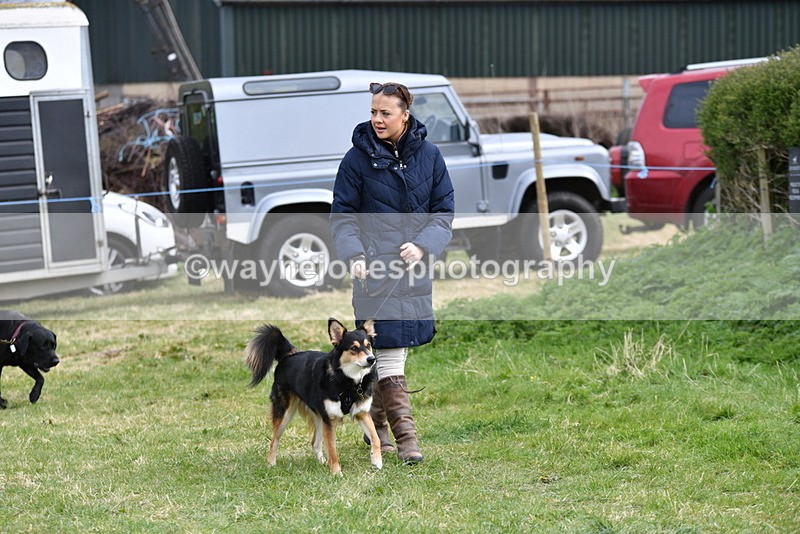 WJ5_9455 - Class 3 Most Handsome Dog