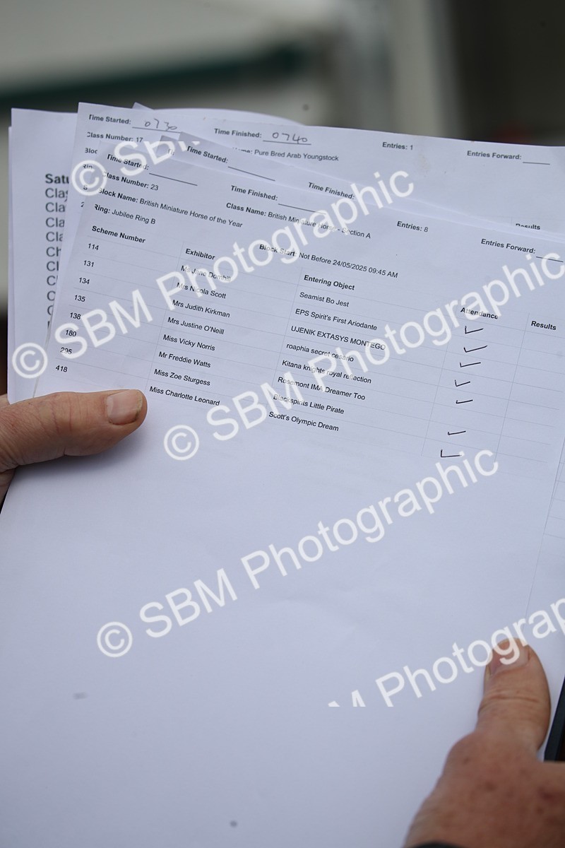 SBM_03666 - Class 23-25 - British Miniature Horse of the Year