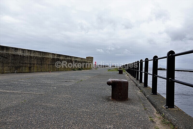 DSC07941 - SEPT 2020 STAYCATION