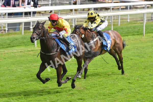 yr10072021r4-11 - Race 4: 3.30pm John Smith's Nursery Stakes