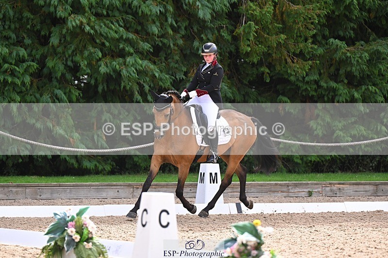 240809-104418-00375 - 173-Daisy.Winkle-Decandro.Hit.LDS