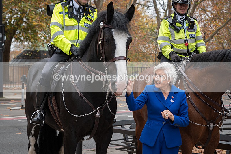 Z62_4516 - Animals In War Memorial 2025 - Park Lane, London