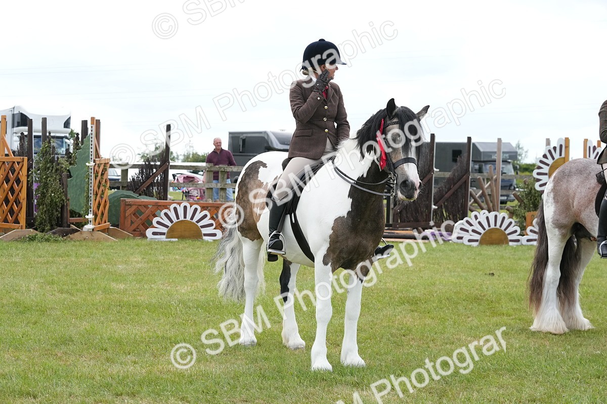 SBM_17674 - Class 107-108 - LIHS BSPS Performance Coloured Horse Pony