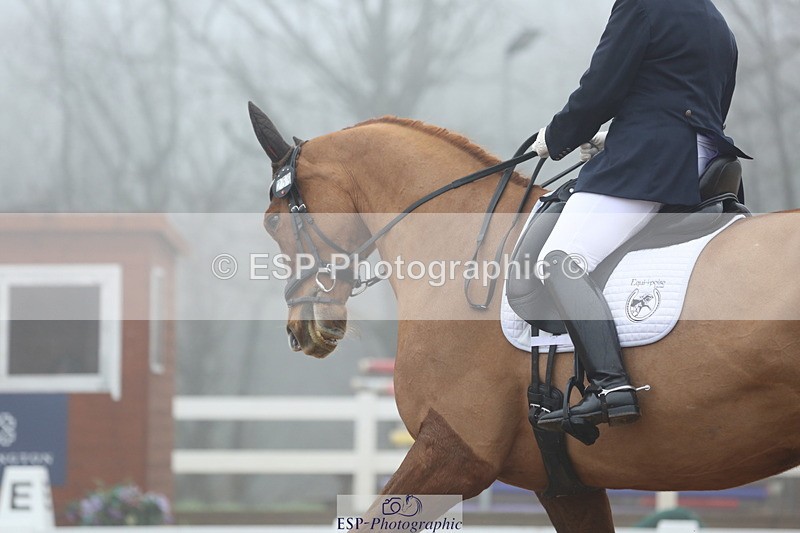 240217A-124009-02934 - 259-Claire.Speer-Joyful.Optimism