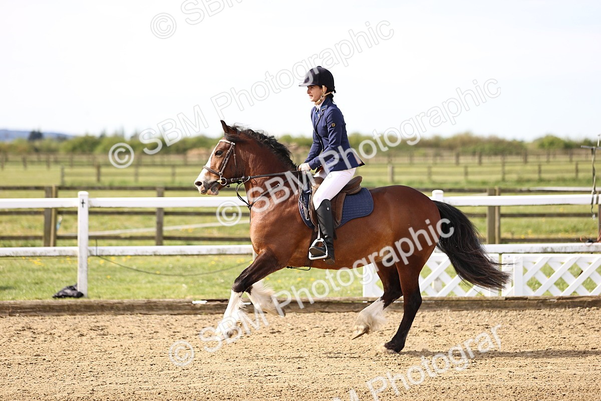 SBM_000025 - 50cm