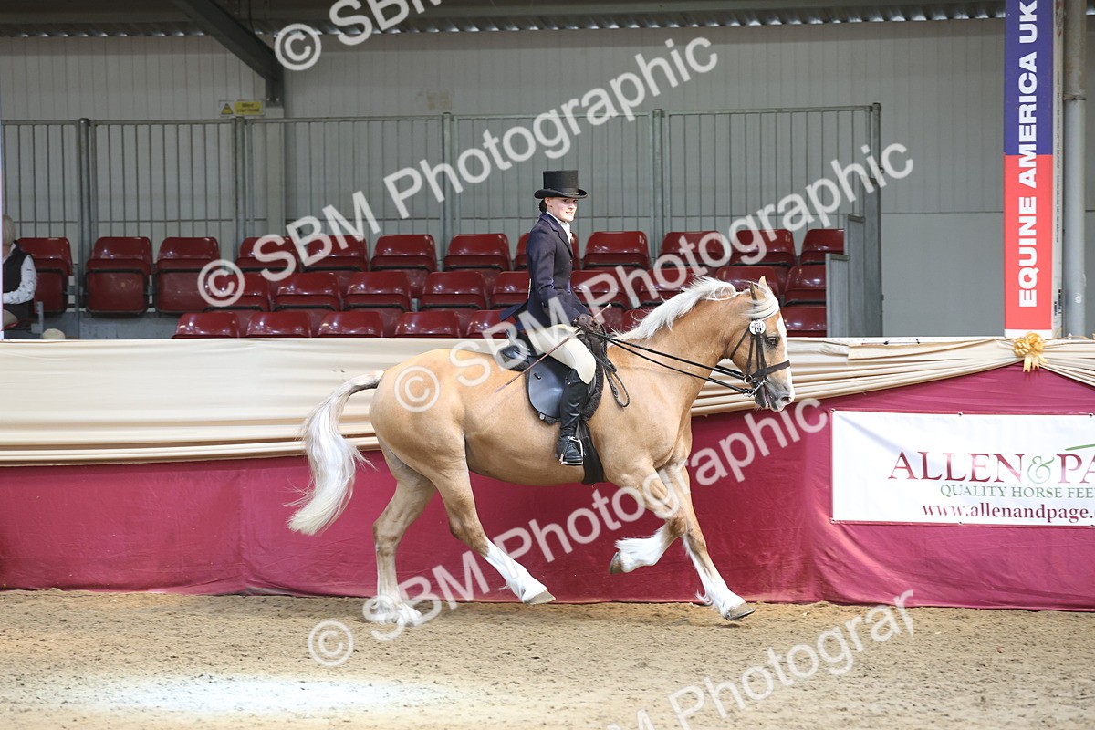 SBM_23747 - class 906 - Supreme Final - Ridden Pre Vet