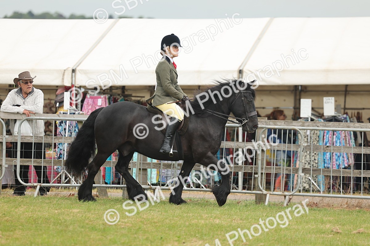 SBM_08923 - Class 78-80 - Ridden M&M Non Welsh Ponies