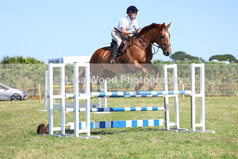 3E7A6434 - Class 13: Senior Newcomers/1.10m open