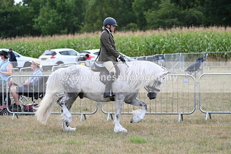 WJ7_5258 - Class 12 Ridden Cob