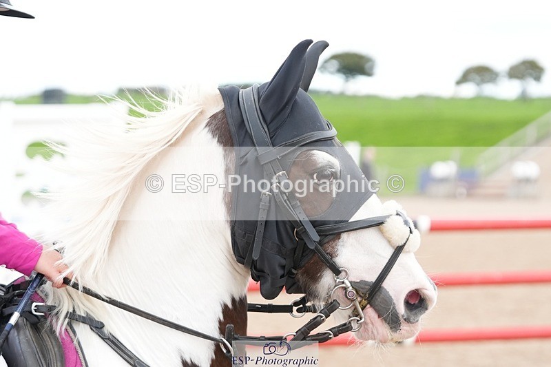 250921-144451-03717 - Cls 20 Pony 80cm Derby