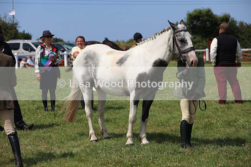 JPP_3441 - Class 22: Working Hunter 70cm