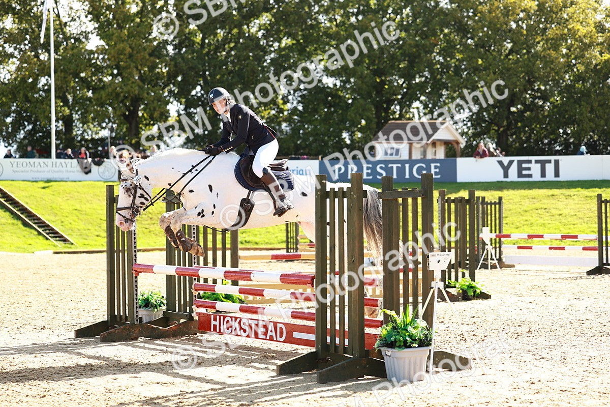 SBM_38015 - J39 - Senior Horse & Pony 85cm Championship