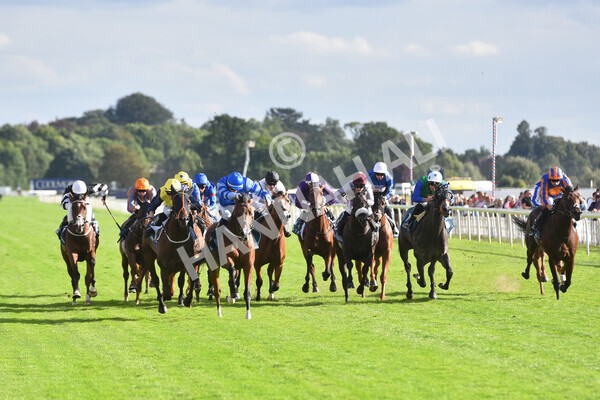 yr19082022r7-34 - Race 7 5.20pm Sky Bet Mile Stakes