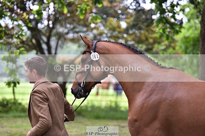 240522-165628-01269 - 282-COOLEY_CORNASUS-Tom_Jackson