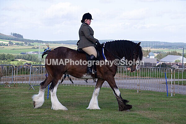 DSC_0253 - Ring 1