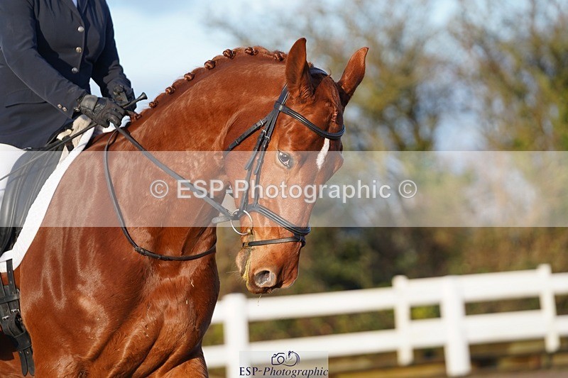 241214-104028-00227 - 136-NATALIE.PASSMORE-U.Legend