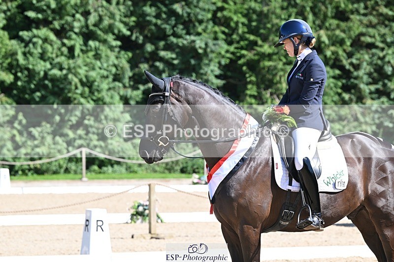 240811-153455-06669 - Adv Medium Gold