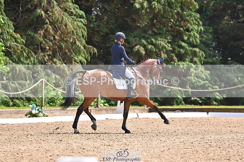 250523A-142103-07308 - B-362-Kat.Raybould-THE.ELLFIELD.DIKSTER