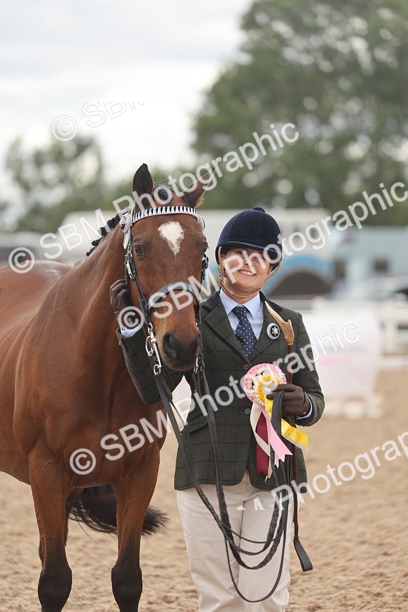 SBM_17165 - Class 313 - IH Retired Racehorse