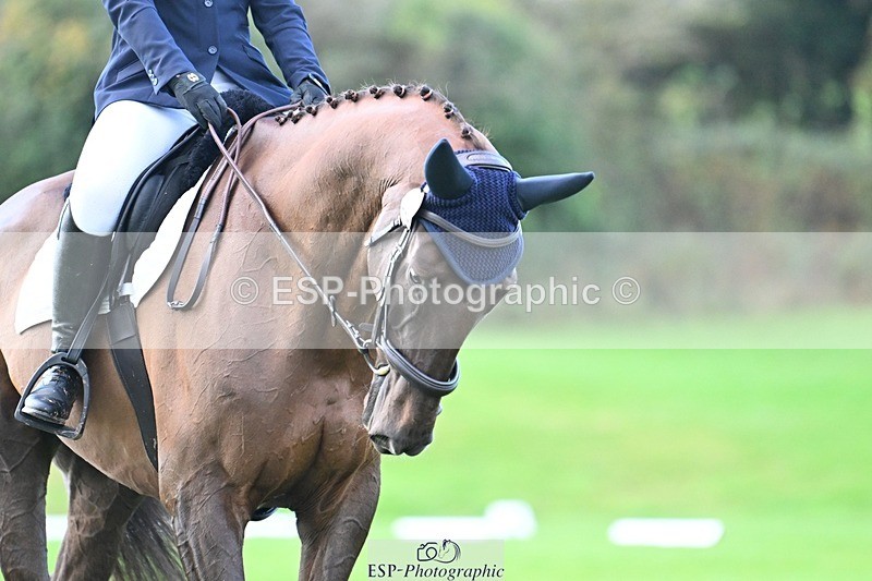 241025-094233-05842 - 443-Bethan.O'Dell-RED.VICO