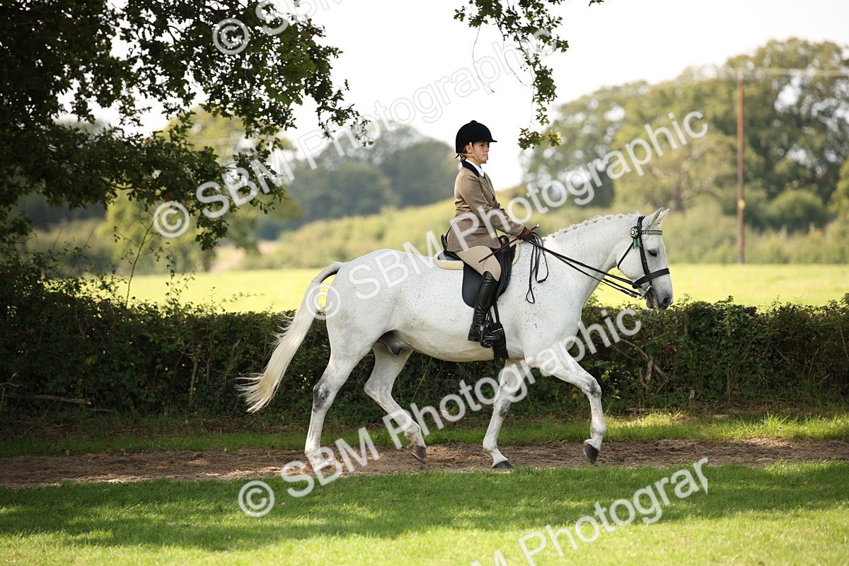 SBM_65911 - S64 - Riding Horse & Hack & Thoroughbred Ridden