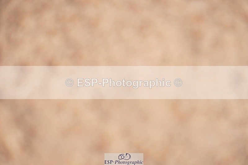 240506A-111734-08533 - Cls 14 Under 11 128cm