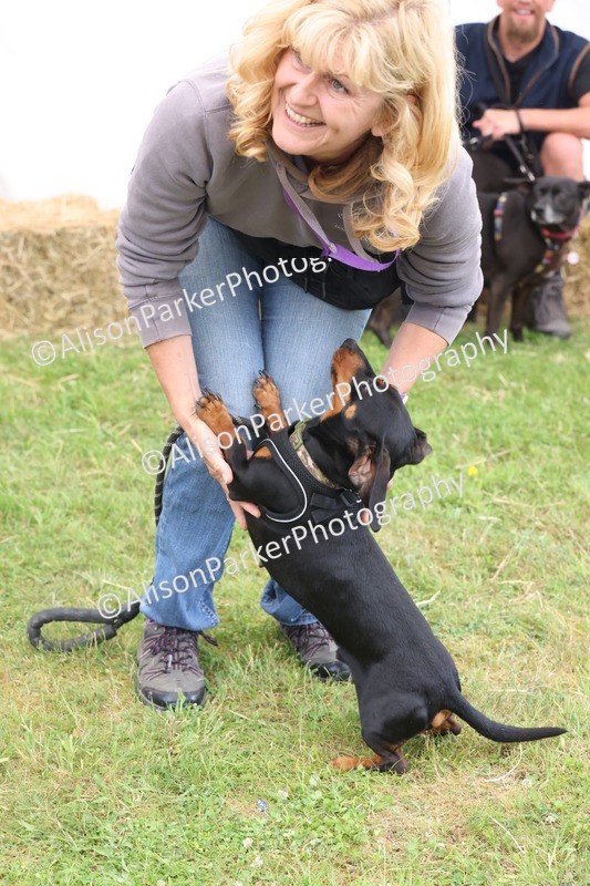 20250607-0065 - Class 1 - Waggiest Tail