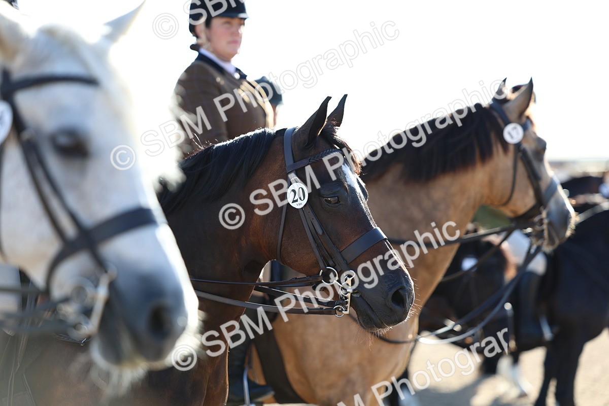 SBM_08831 - Class 302 - Ridden M&M - Large Breeds