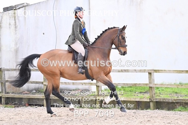 BPP_7049 - RING 1  (RIDDEN HORSES / IN HAND / VETERAN ETC)