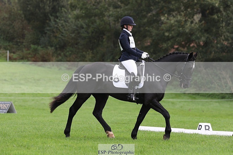 231019-103043-02340 - 414-LAMBORO.SPARKY-Lucy.Jowett-DR