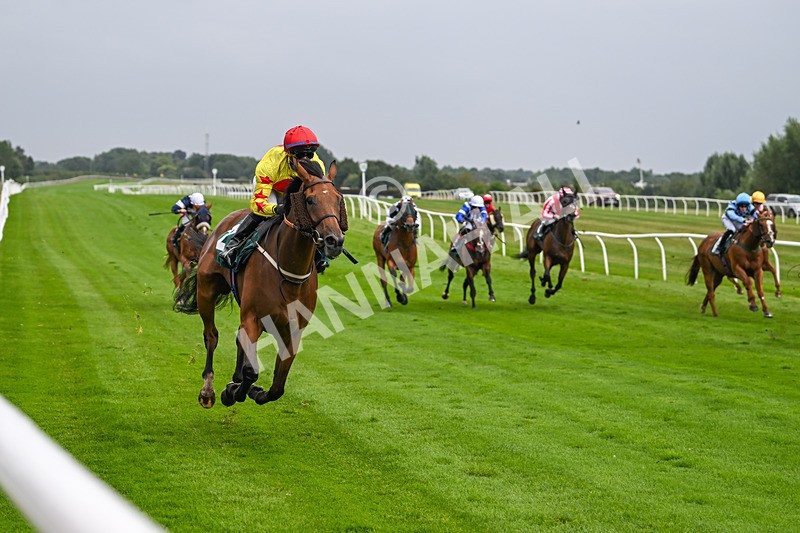 190824-Race 6-Vince Le Prince-3939 - Race 6