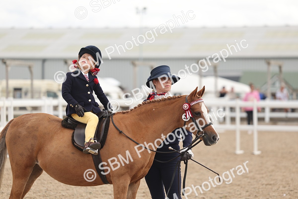 SBM_15785 - Class 309 - Lead Rein Pony