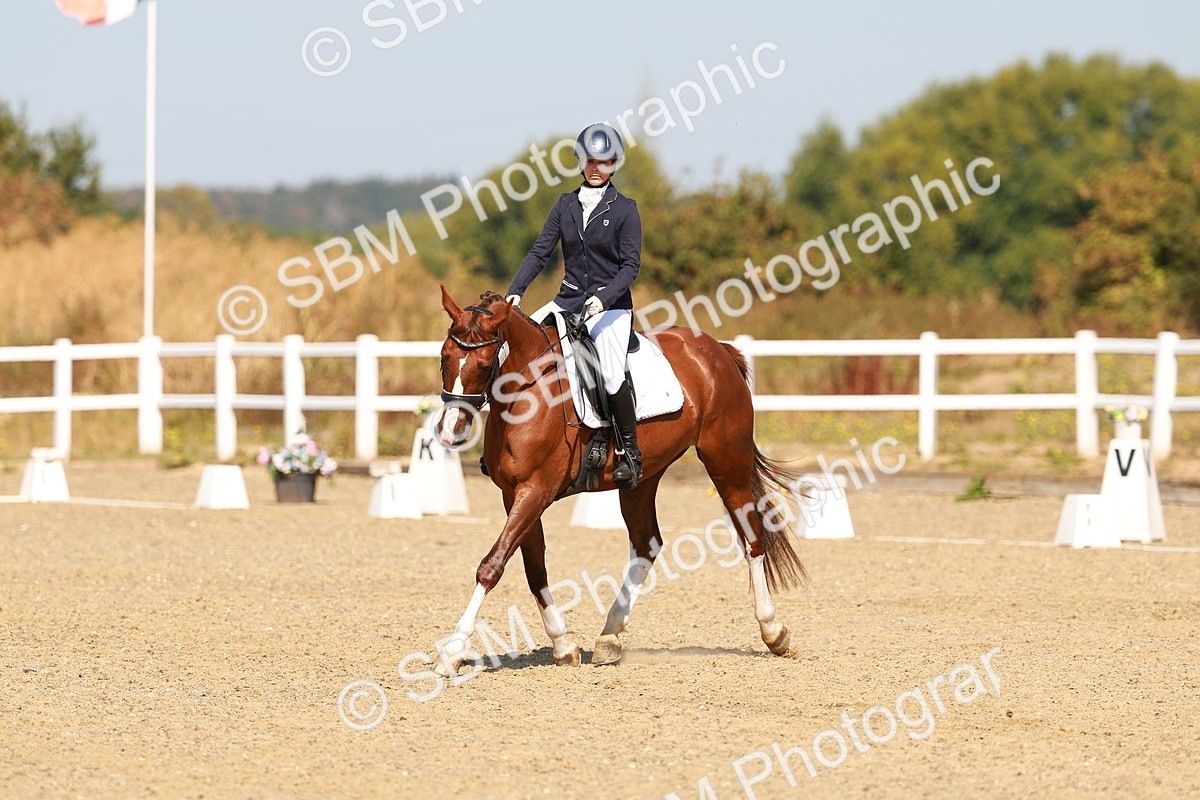 SBM_017612 - Class 9 - N5 Bronze 10.33.11.36