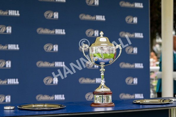 250524-Race 4-Term Of Endearment-3690 - Race 4 3.20pm William Hill Bronte Cup Fillies' Stakes