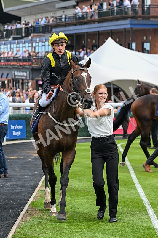 040726-Race 2-Rosberg-3545 - Race 2 14.52pm Matthew Ireland Memorial EBF Maiden Stakes