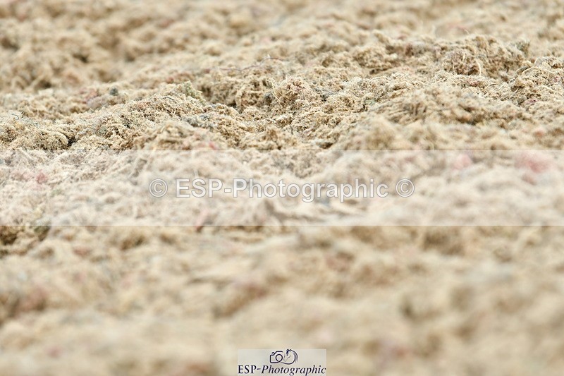 230702A-112041-08682 - Cls 26 Novice 37A