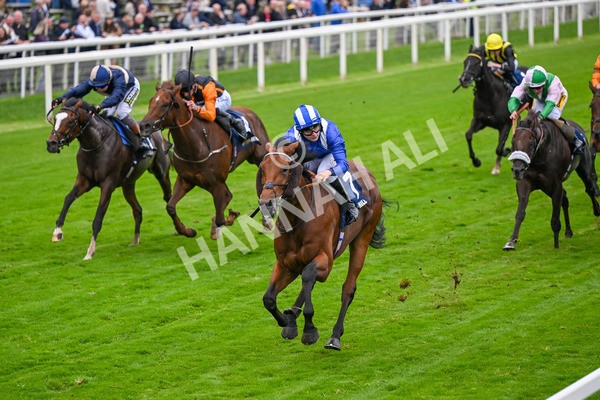 101025-Race 3-Mukhtalif-6420 - Race 3 William Hill Each Way Extra Handicap at York