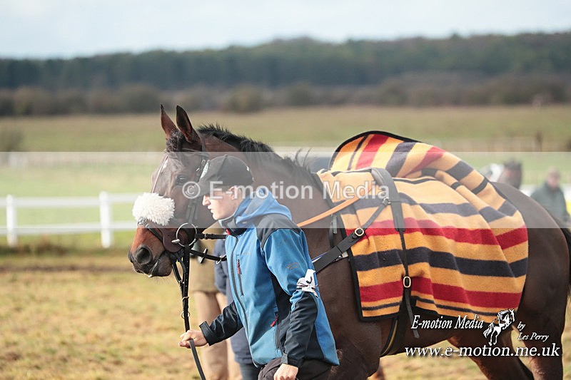 PtP 101223 907 - New Forest Hounds PtP Larkhill 10/12/23
