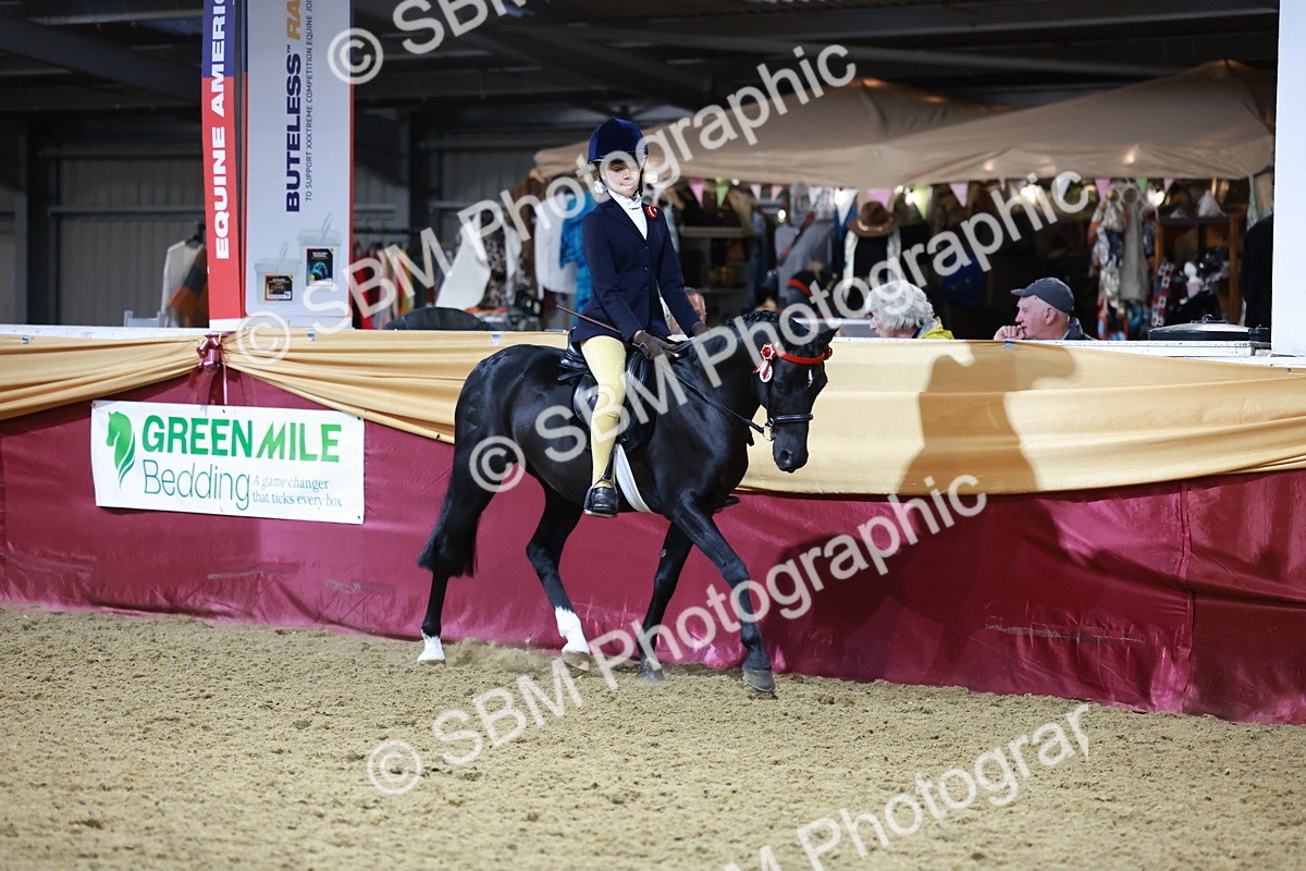 SBM_20900 - Class M - Equitation Champ