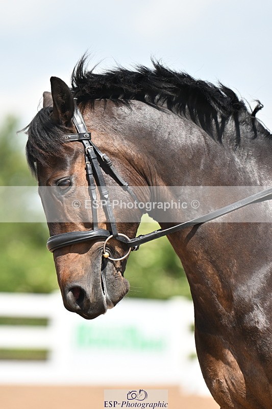 240621A-112345-01967 - Cls 4 BD Novice 22