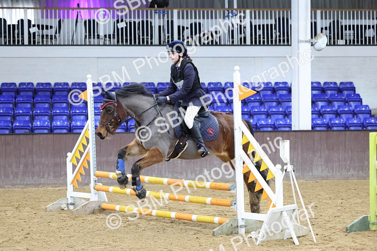 SBM_000981 - Class 3 - Christmas Tree Stakes - 60cm