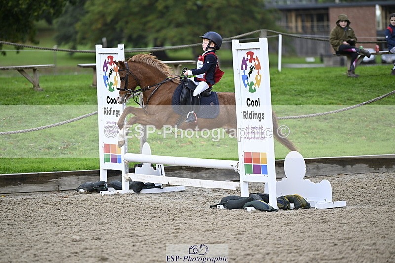 251005A-090914-02967 - Cls 02 GR 50cm