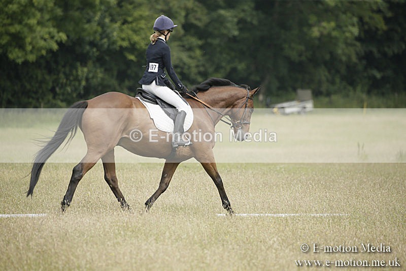 B230619-0403 - Bourne Valley Riding Club Summer Show 23/06/19