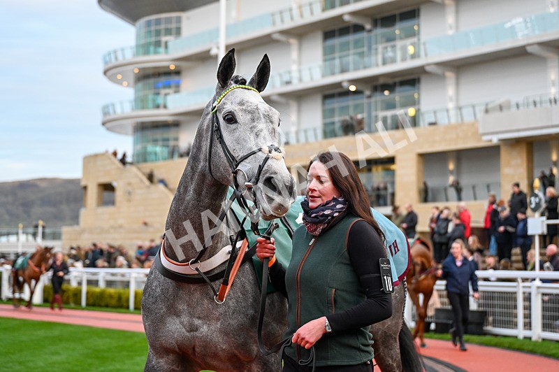 141224-Race 7-Joyeuse-0924 - Race 7