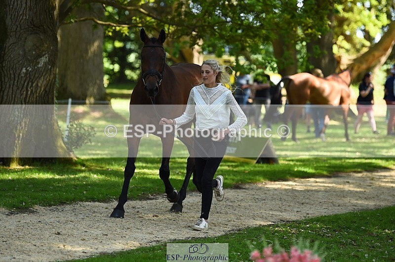 230524-155752-00584 - 205-ARTICUS-Maja_Hullah-WEDTrotUp+DR