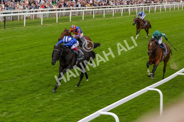 230823-Race 4-Mostahdaf-4287 - Race 4 3.35pm Juddmonte International Stakes